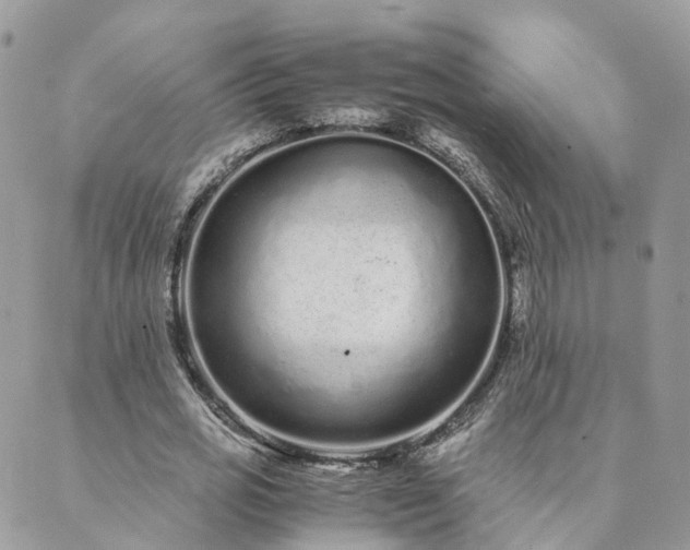 X0000089930725200706291157