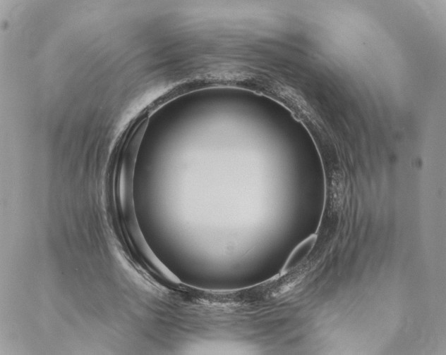 X0000089930726200706291157