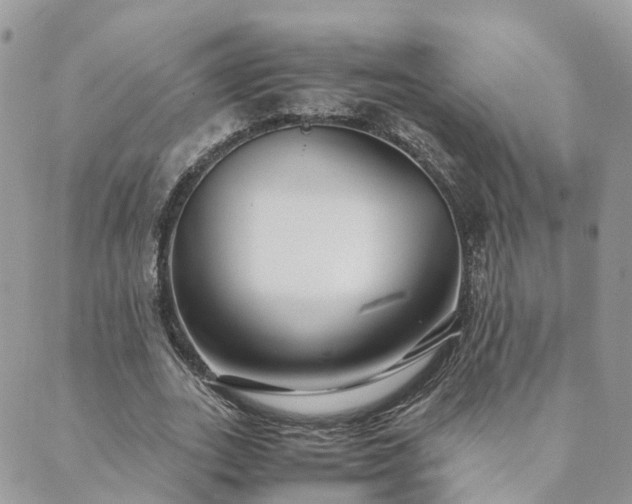 X0000089930727200706291157