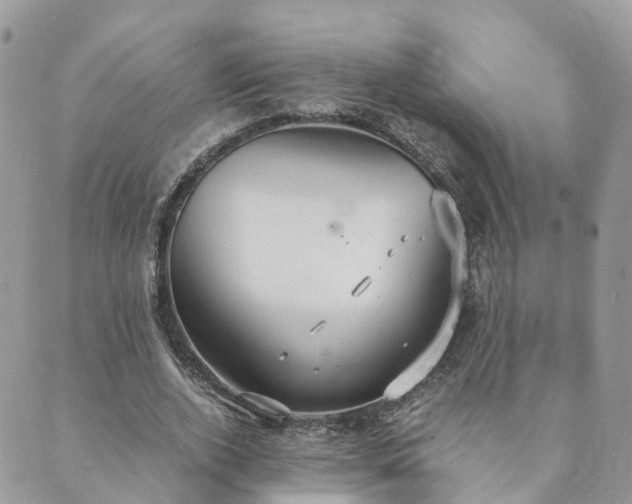 X0000089930728200706291157