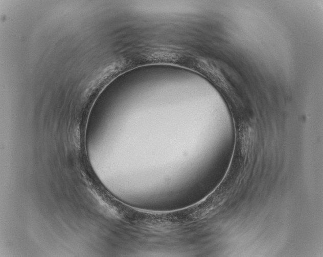 X0000089930729200706291157