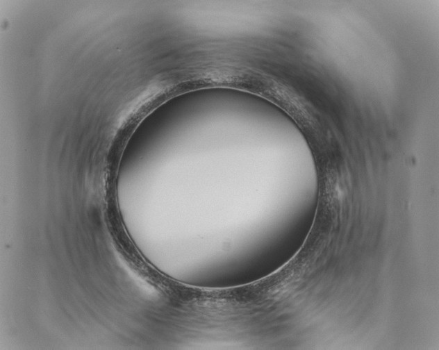 X0000089930730200706291157