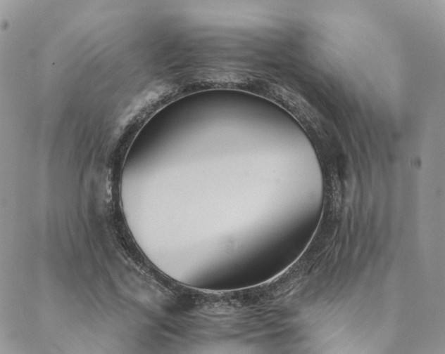 X0000089930731200706291157