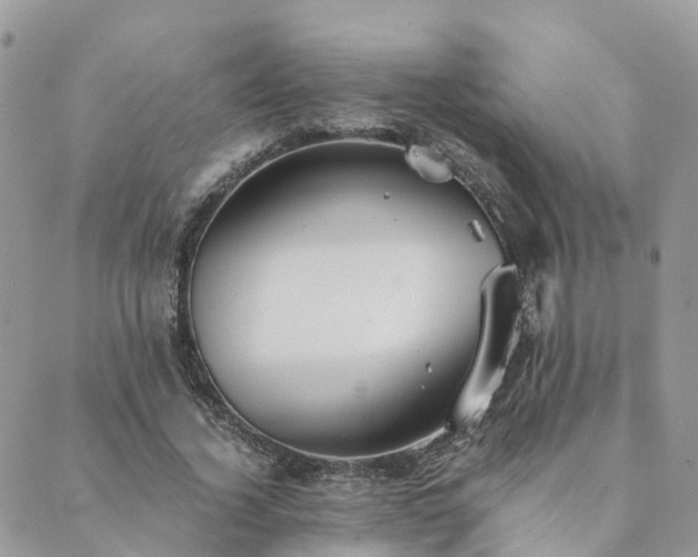 X0000089930732200706291157