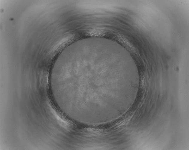 X0000089930733200706291157