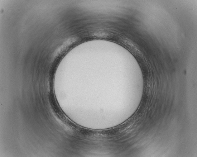 X0000089930734200706291157