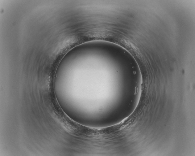 X0000089930735200706291157