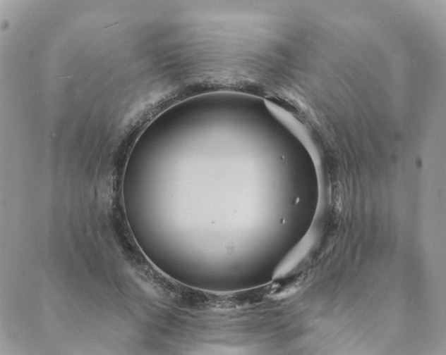 X0000089930736200706291157