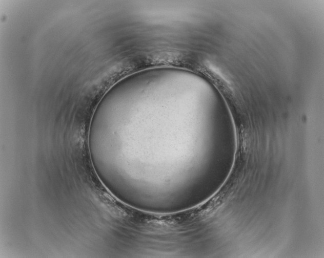 X0000089930737200706291157