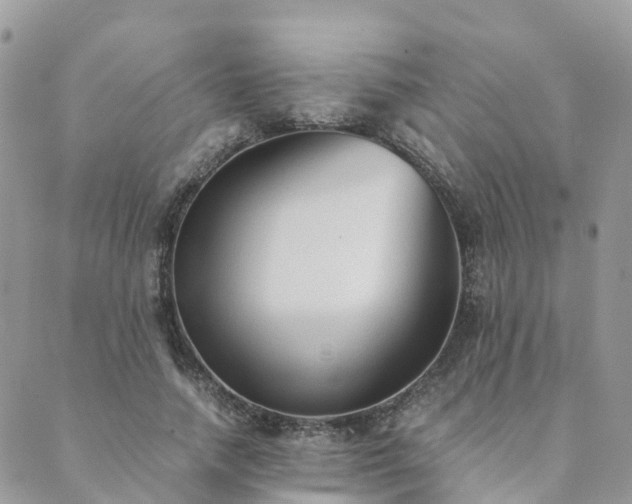 X0000089930738200706291157