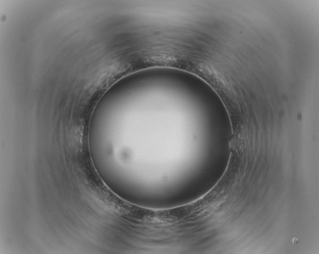 X0000089930739200706291157