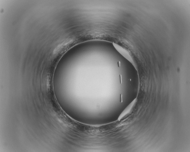 X0000089930740200706291157