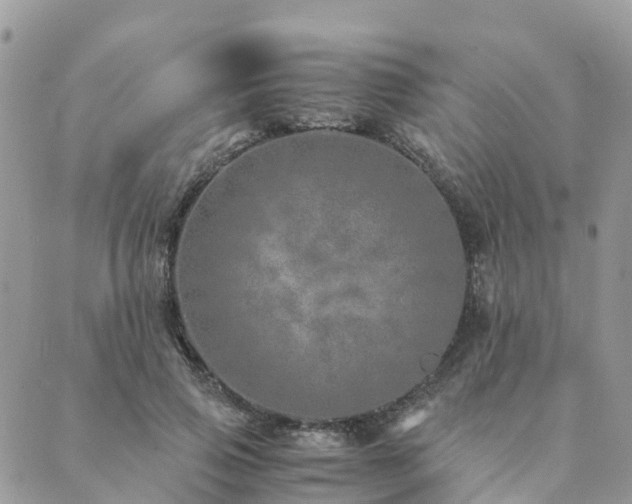 X0000089930741200706291157