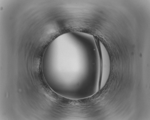 X0000089930742200706291157