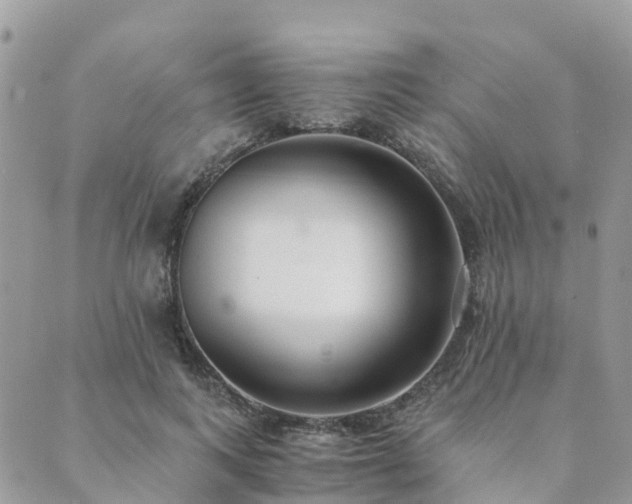 X0000089930743200706291157