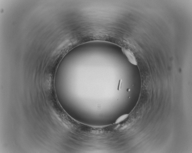 X0000089930744200706291157