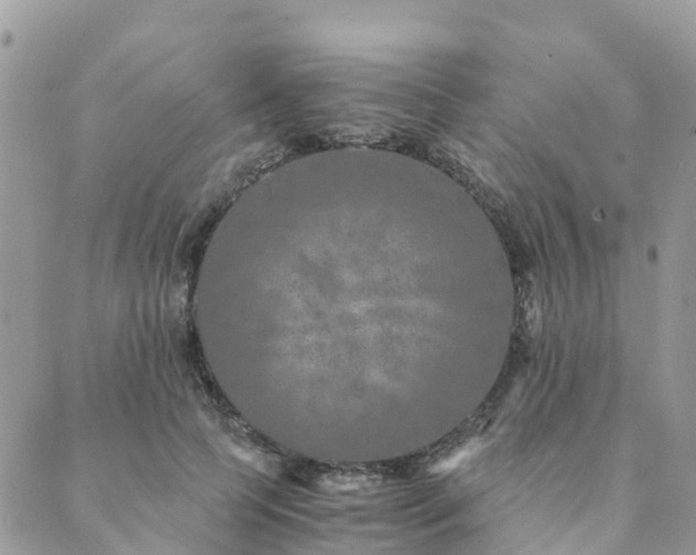 X0000089930745200706291157