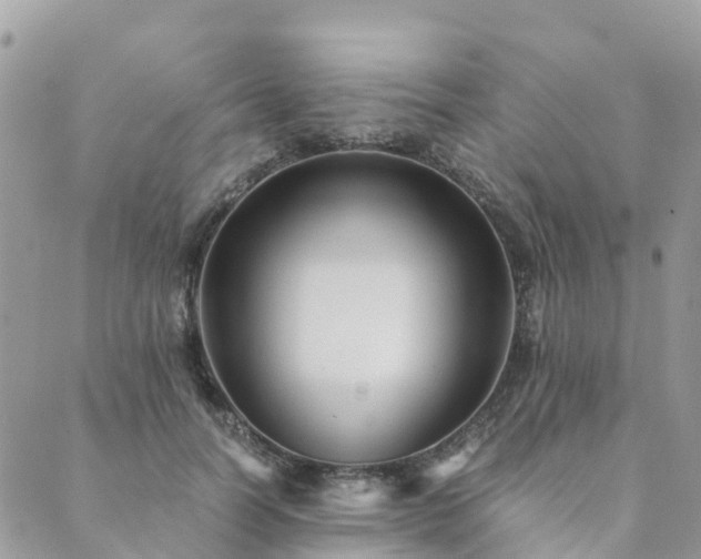 X0000089930746200706291157