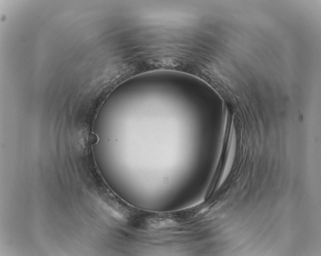 X0000089930747200706291157