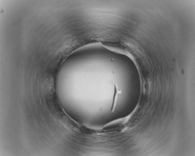 X0000089930748200706291157