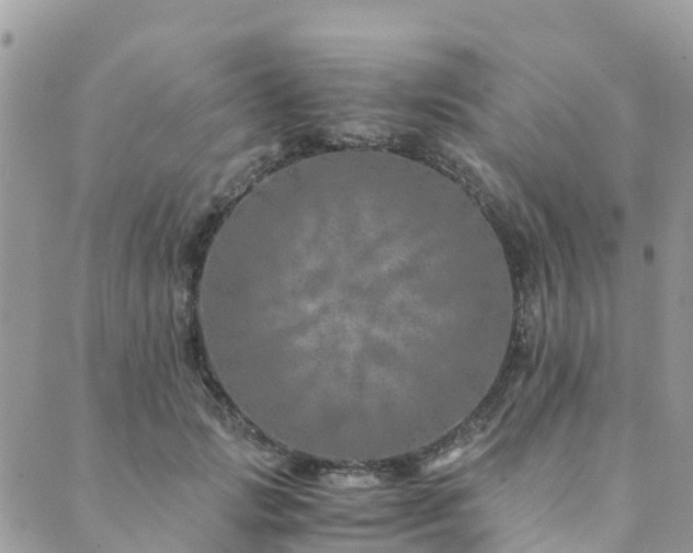 X0000089930749200706291157