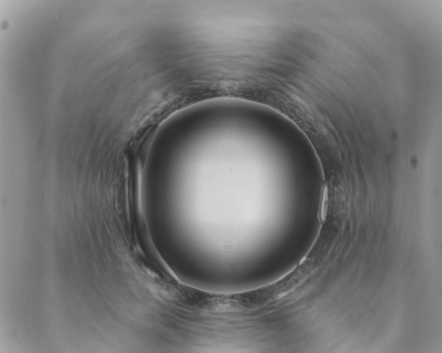 X0000089930750200706291157