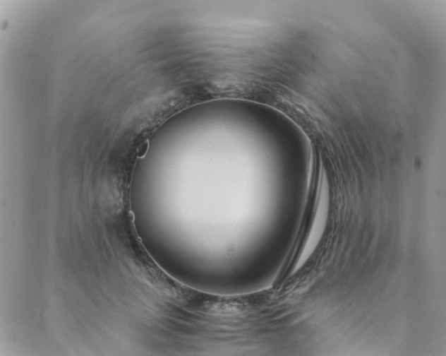 X0000089930751200706291157