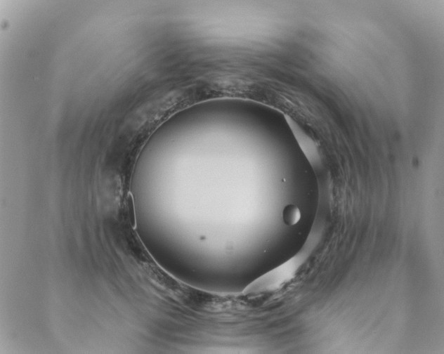 X0000089930752200706291157