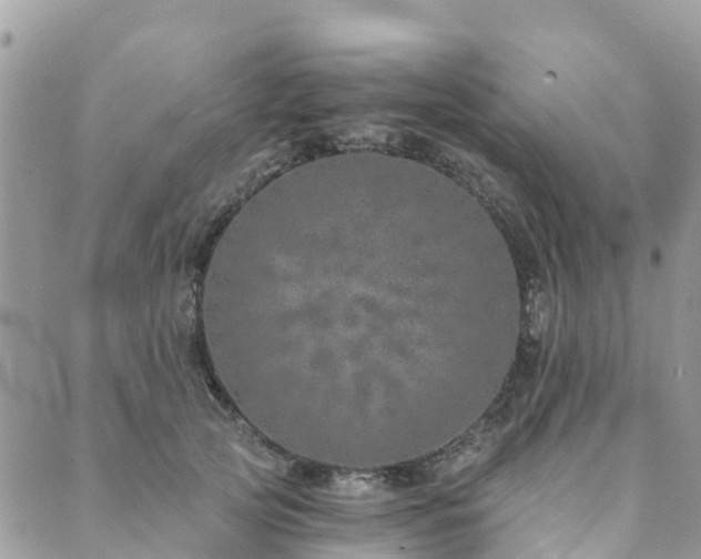 X0000089930753200706291157