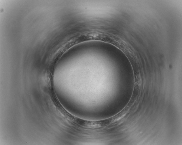 X0000089930754200706291157