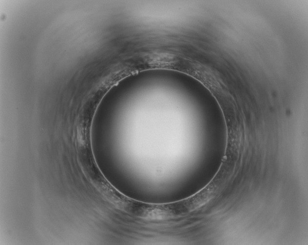 X0000089930755200706291157