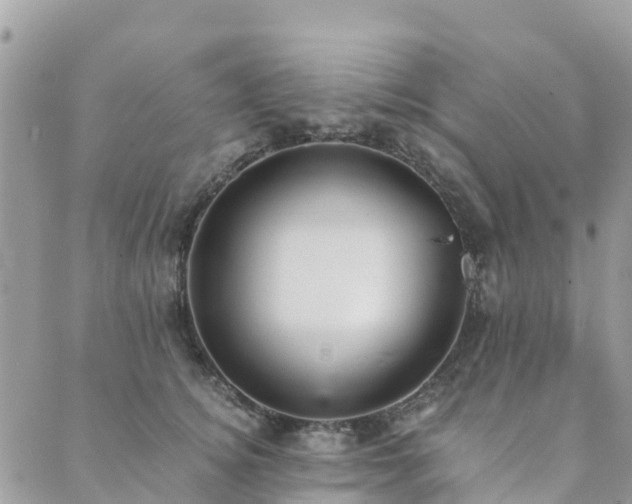 X0000089930756200706291157