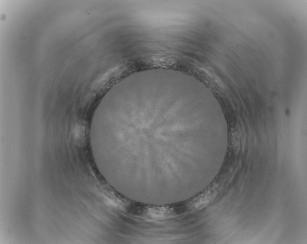 X0000089930757200706291157