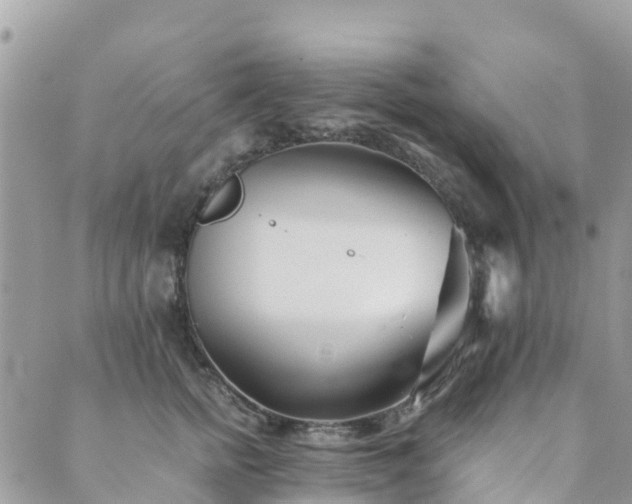 X0000089930758200706291157