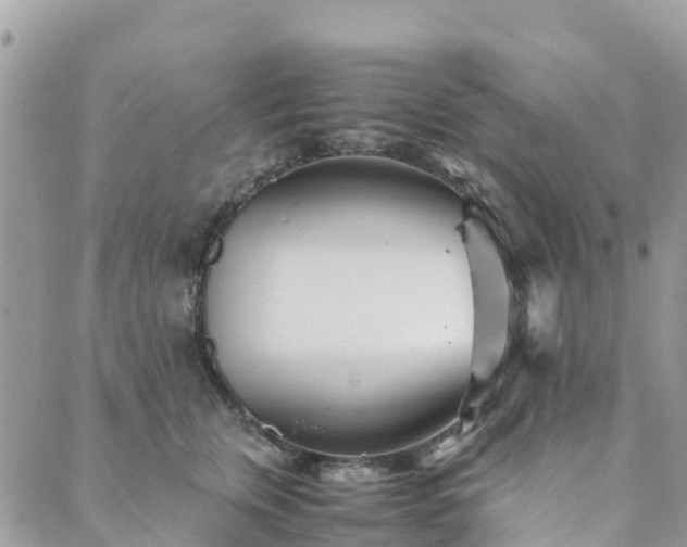 X0000089930759200706291157