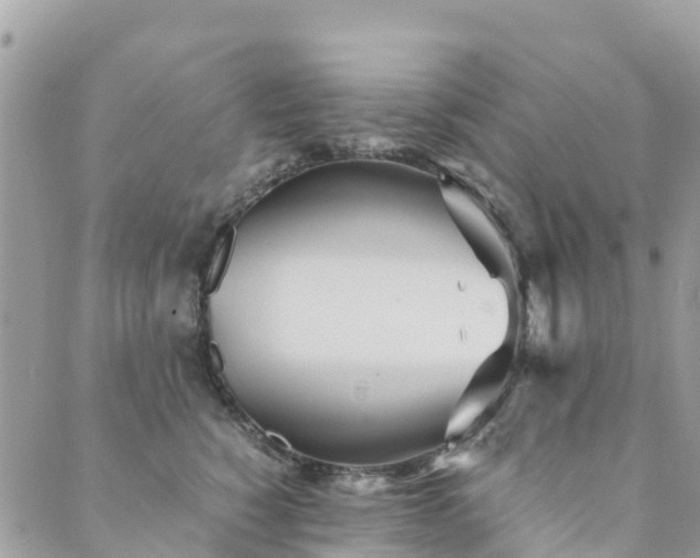 X0000089930760200706291157