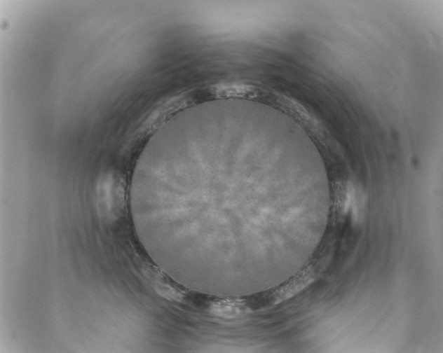 X0000089930761200706291157