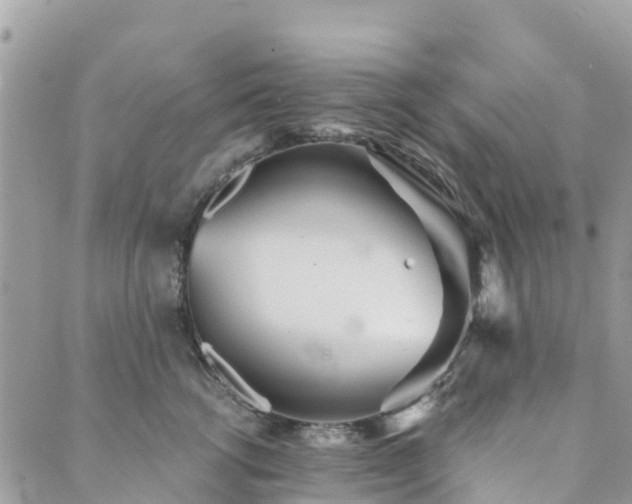 X0000089930762200706291157