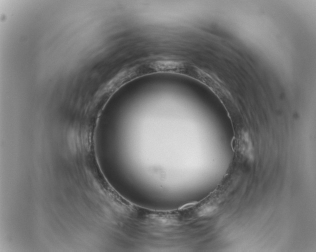 X0000089930763200706291157