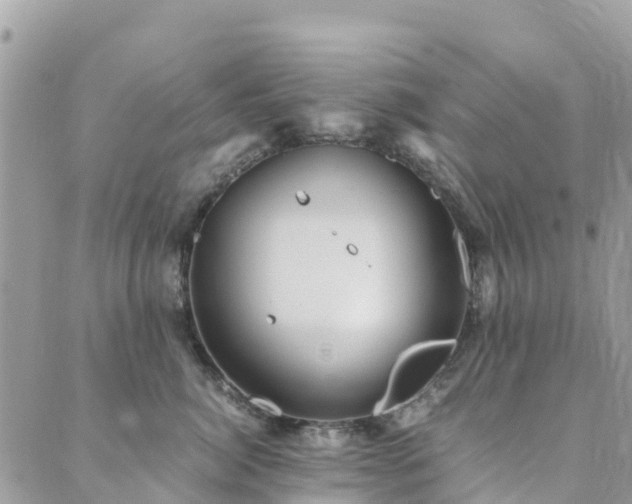 X0000089930764200706291157