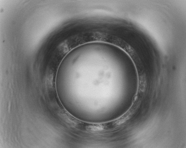 X0000089930765200706291157