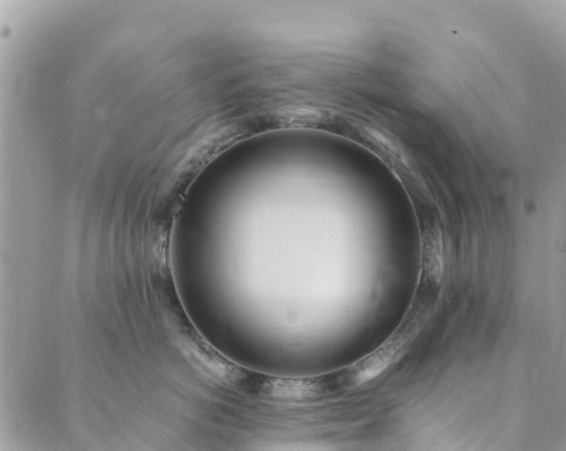 X0000089930766200706291157