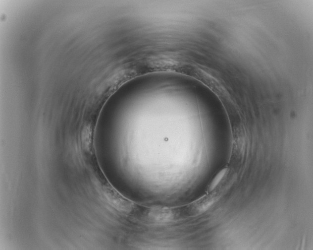 X0000089930767200706291157