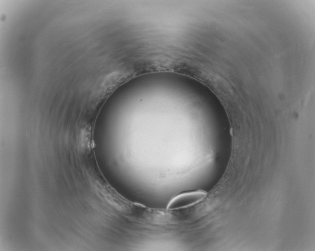 X0000089930768200706291157