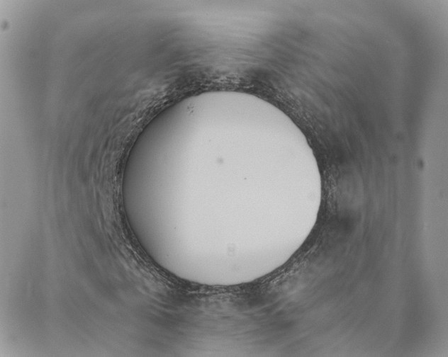 X0000089930769200706291157