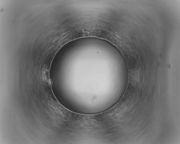 X0000089930770200706291157