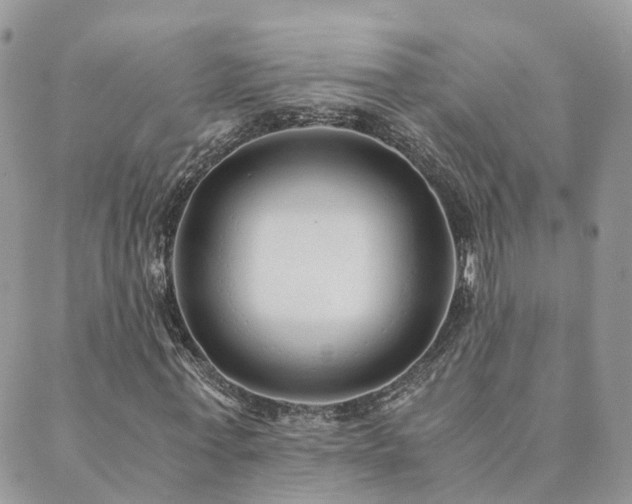 X0000089930771200706291157