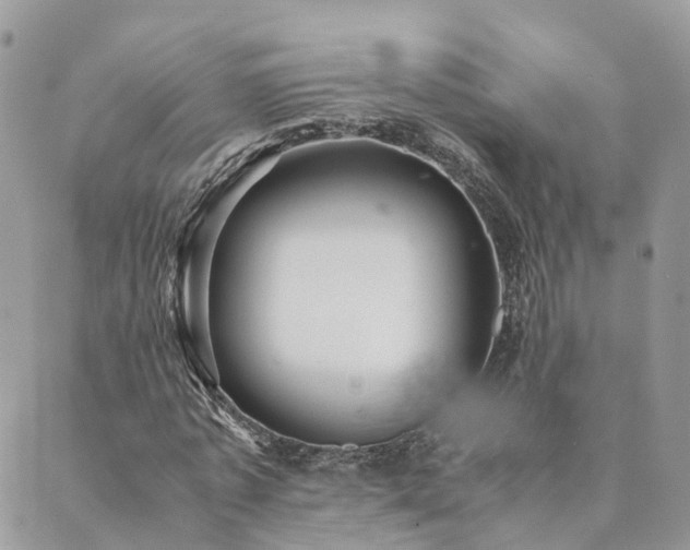 X0000089930773200706291157