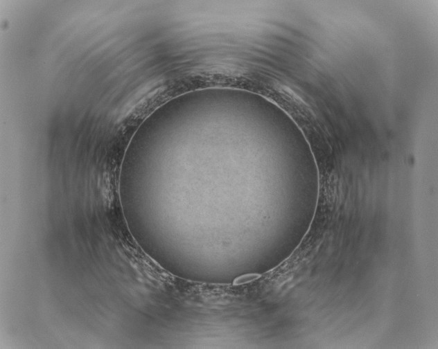 X0000089930774200706291157