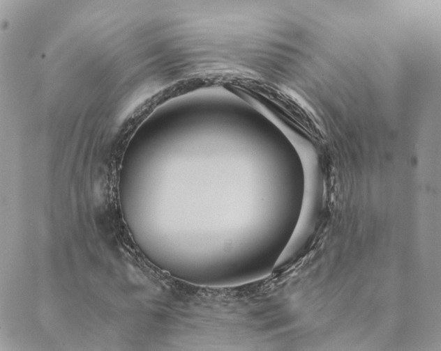 X0000089930775200706291157